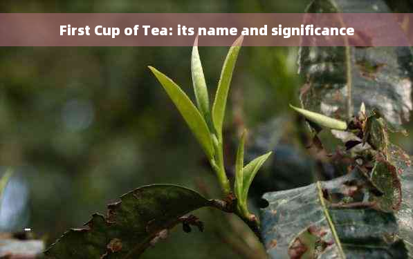 First Cup of Tea: its name and significance