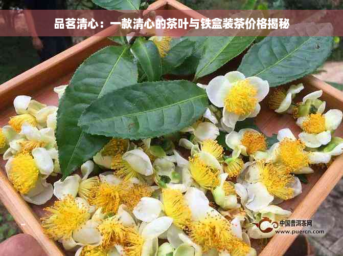 品茗清心：一款清心的茶叶与铁盒装茶价格揭秘