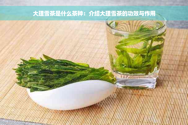 大理雪茶是什么茶种：介绍大理雪茶的功效与作用