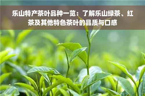 乐山特产茶叶品种一览：了解乐山绿茶、红茶及其他特色茶叶的品质与口感