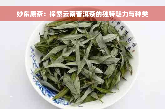 妙东原茶：探索云南普洱茶的独特魅力与种类