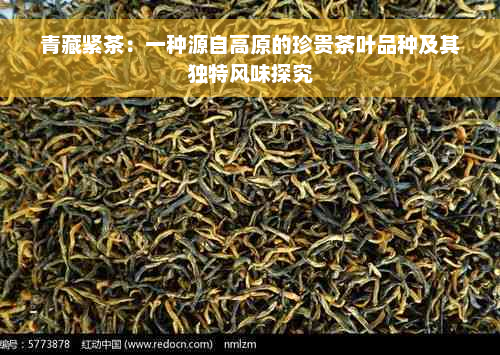 青藏紧茶：一种源自高原的珍贵茶叶品种及其独特风味探究