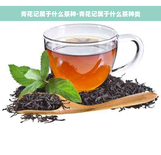 青花记属于什么茶种-青花记属于什么茶种类