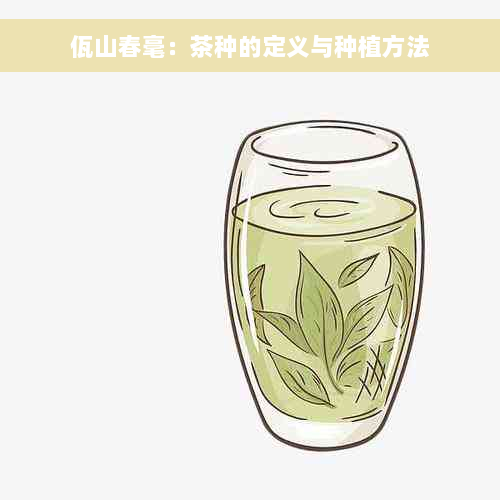 佤山春毫：茶种的定义与种植方法