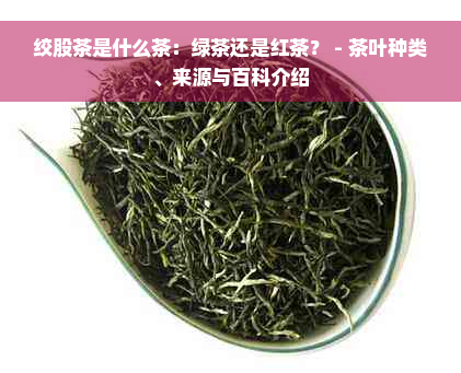 绞股茶是什么茶：绿茶还是红茶？ - 茶叶种类、来源与百科介绍