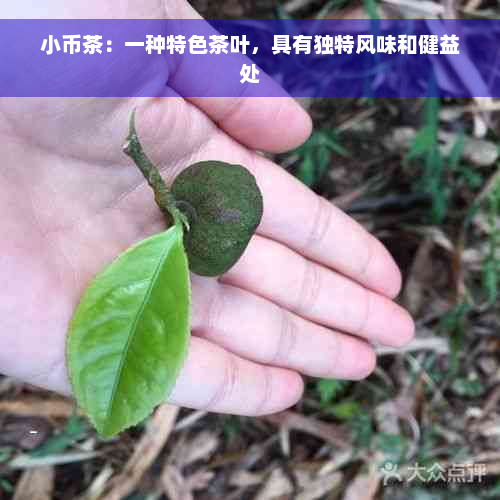 小币茶：一种特色茶叶，具有独特风味和健益处