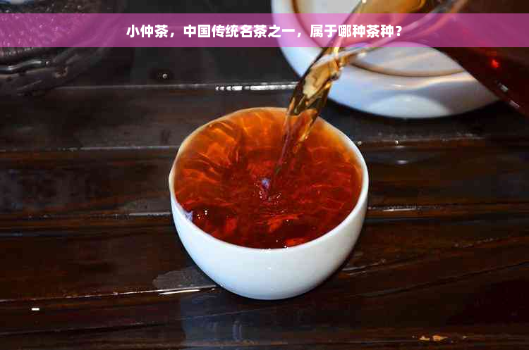 小仲茶，中国传统名茶之一，属于哪种茶种？