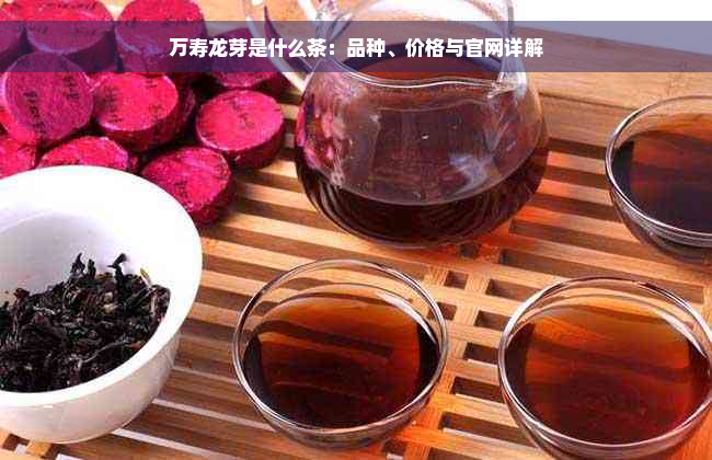 万寿龙芽是什么茶：品种、价格与官网详解