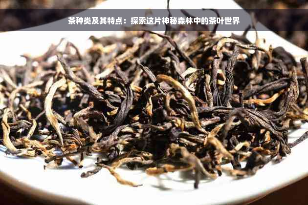 茶种类及其特点：探索这片神秘森林中的茶叶世界