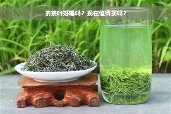 的茶叶好喝吗？现在值得买吗？