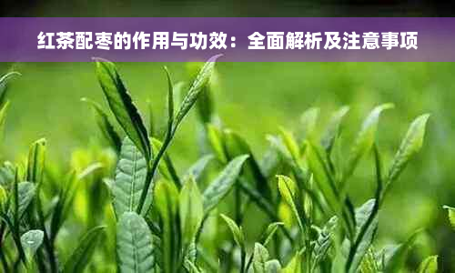 红茶配枣的作用与功效：全面解析及注意事项