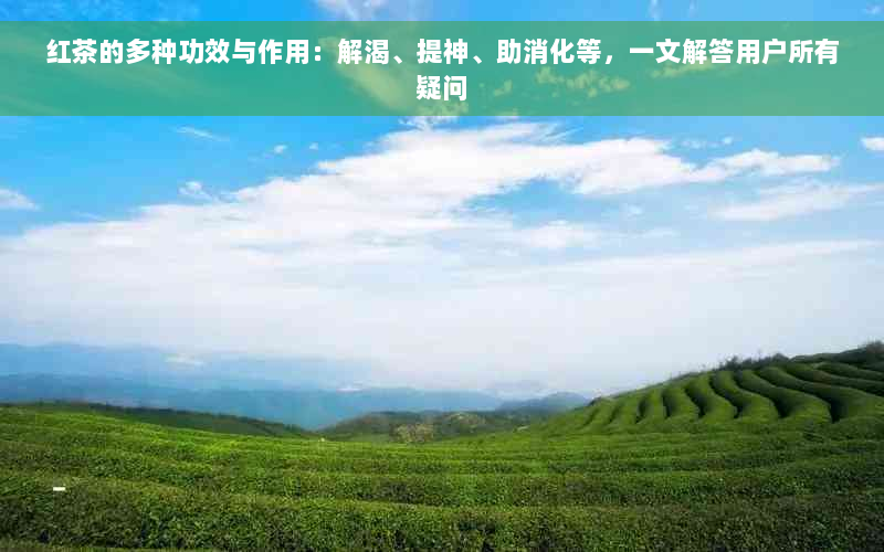 红茶的多种功效与作用：解渴、提神、助消化等，一文解答用户所有疑问