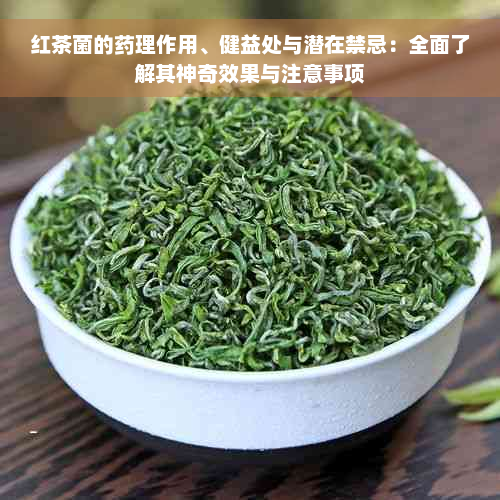 红茶菌的药理作用、健益处与潜在禁忌：全面了解其神奇效果与注意事项