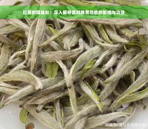 红茶的健益处：深入解析其对脾胃功能的影响与功效