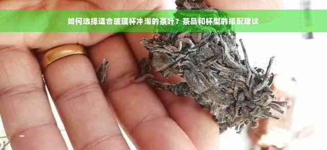 如何选择适合玻璃杯冲泡的茶叶？茶品和杯型的搭配建议