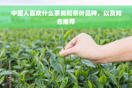 中国人喜欢什么茶类和茶叶品种，以及知名推荐