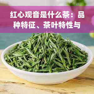 红心观音是什么茶：品种特征、茶叶特性与铁观音的关系