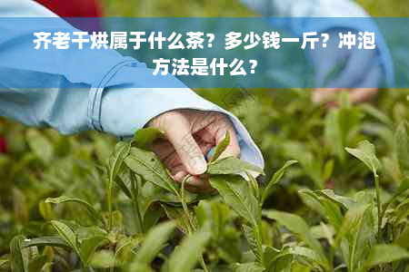 齐老干烘属于什么茶？多少钱一斤？冲泡方法是什么？