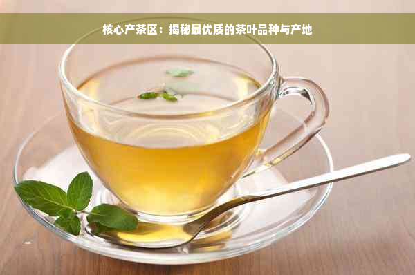 核心产茶区：揭秘更优质的茶叶品种与产地