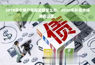 2019年个体户年报逾期怎么办，2020年补报方法请看这里。