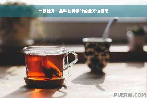 一枝独秀：品味独特茶叶的全方位指南