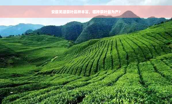 安徽芜湖茶叶品种丰富，哪种茶叶最为产？