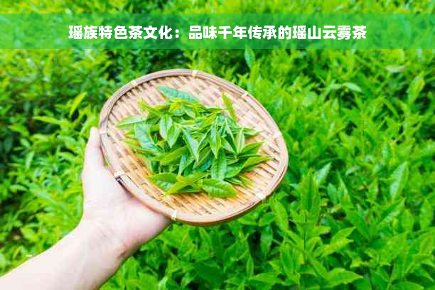 瑶族特色茶文化：品味千年传承的瑶山云雾茶