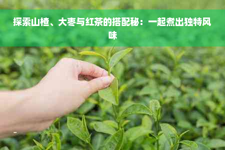 探索山楂、大枣与红茶的搭配秘：一起煮出独特风味