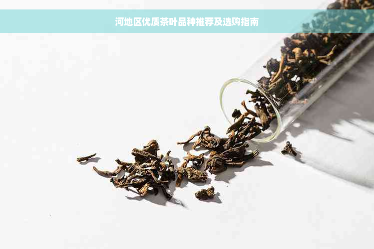 河地区优质茶叶品种推荐及选购指南