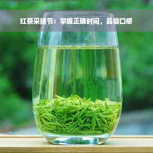 红茶采摘节：掌握正确时间，品尝口感