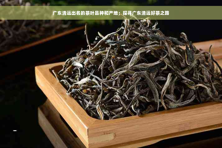 广东清远出名的茶叶品种和产地：探寻广东清远好茶之路