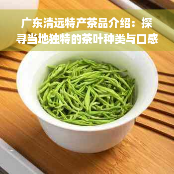 广东清远特产茶品介绍：探寻当地独特的茶叶种类与口感