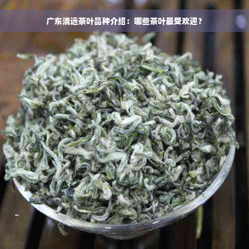 广东清远茶叶品种介绍：哪些茶叶更受欢迎？