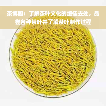 茶博园：了解茶叶文化的绝佳去处，品尝各种茶叶并了解茶叶制作过程