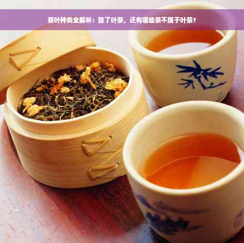 茶叶种类全解析：除了叶茶，还有哪些茶不属于叶茶？