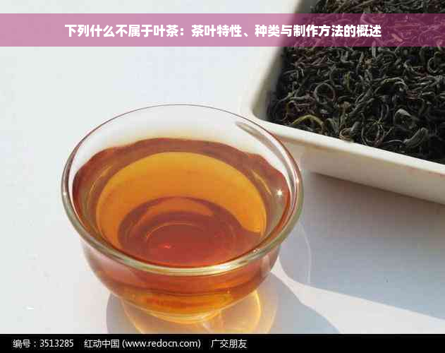 下列什么不属于叶茶：茶叶特性、种类与制作方法的概述