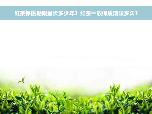 红茶保质期限最长多少年？红茶一般保质期限多久？