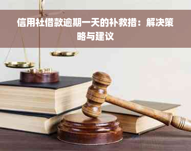 信用社借款逾期一天的补救措：解决策略与建议