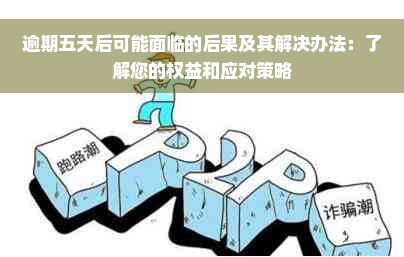 逾期五天后可能面临的后果及其解决办法：了解您的权益和应对策略