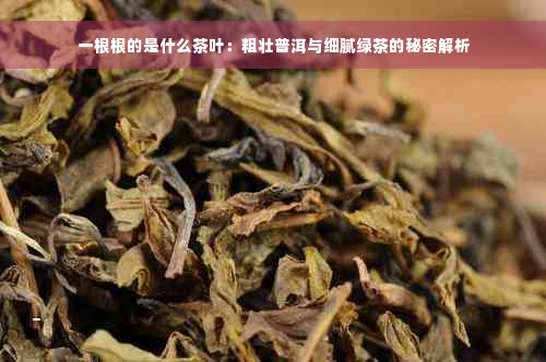 一根根的是什么茶叶：粗壮普洱与细腻绿茶的秘密解析