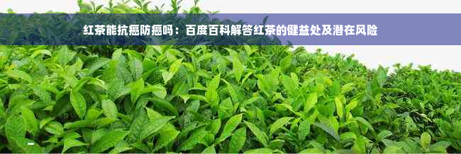 红茶能抗癌防癌吗：百度百科解答红茶的健益处及潜在风险