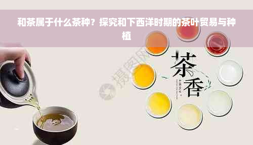 和茶属于什么茶种？探究和下西洋时期的茶叶贸易与种植