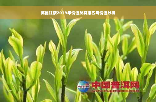 英德红茶2019年价值及其排名与价值分析