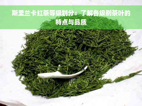 斯里兰卡红茶等级划分：了解各级别茶叶的特点与品质