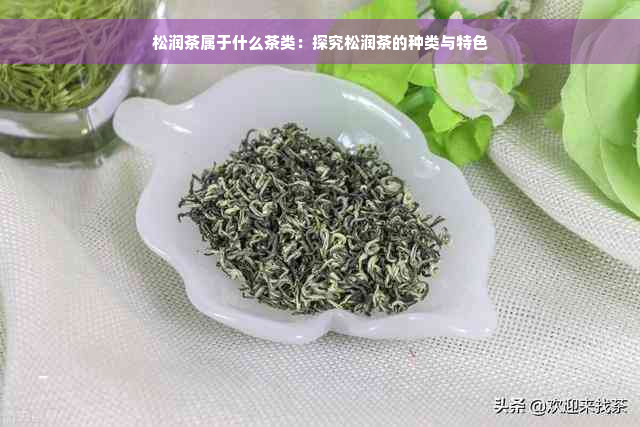 松润茶属于什么茶类：探究松润茶的种类与特色