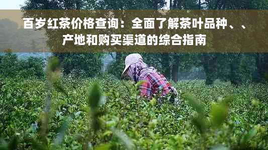 百岁红茶价格查询：全面了解茶叶品种、、产地和购买渠道的综合指南