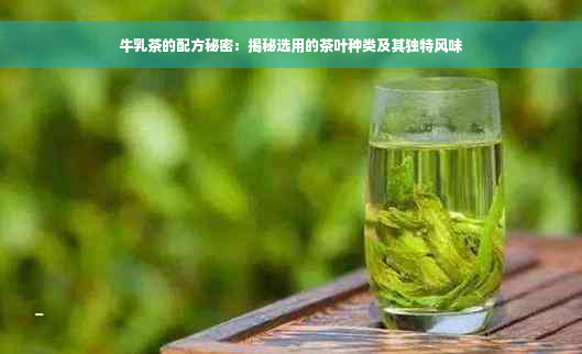 牛乳茶的配方秘密：揭秘选用的茶叶种类及其独特风味