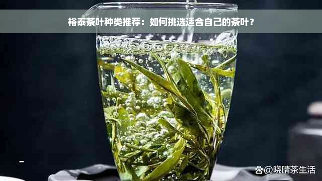 裕泰茶叶种类推荐：如何挑选适合自己的茶叶？