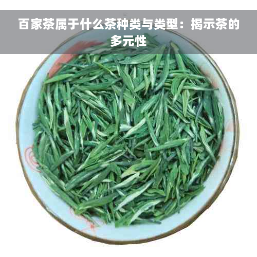 百家茶属于什么茶种类与类型：揭示茶的多元性