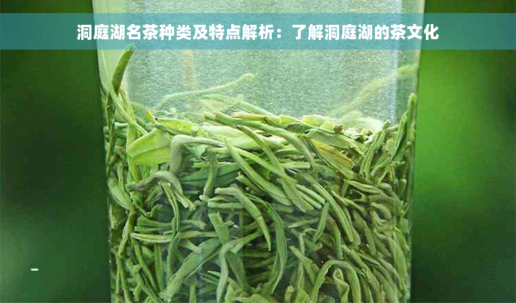 洞庭湖名茶种类及特点解析：了解洞庭湖的茶文化